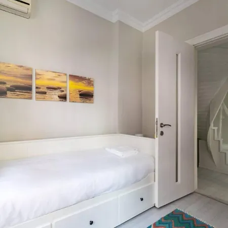 Beautiful Bright 3bd15bath Central House! #345 イスタンブール